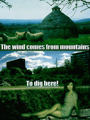 The Wind comes from mountains